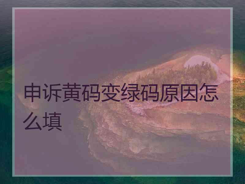 申诉黄码变绿码原因怎么填