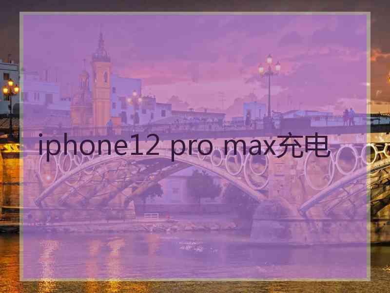 iphone12 pro max充电