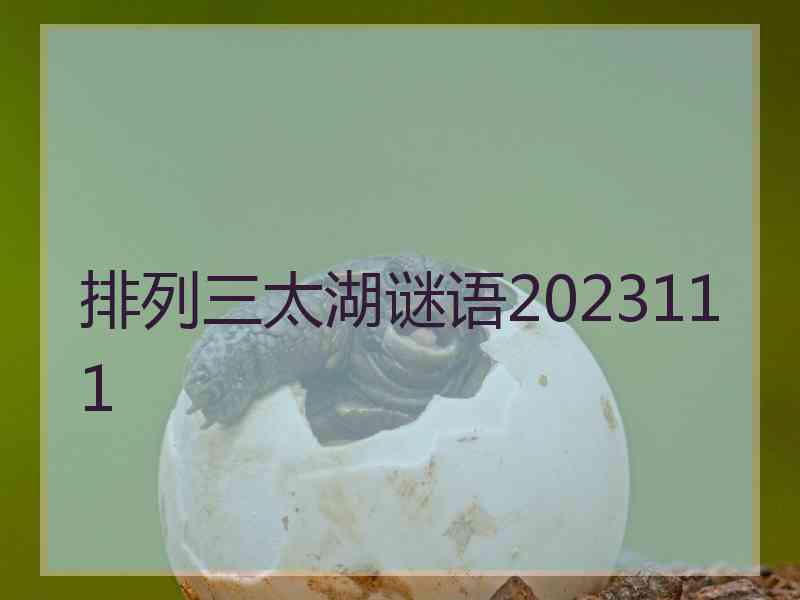 排列三太湖谜语2023111