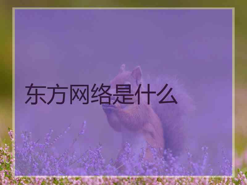 东方网络是什么