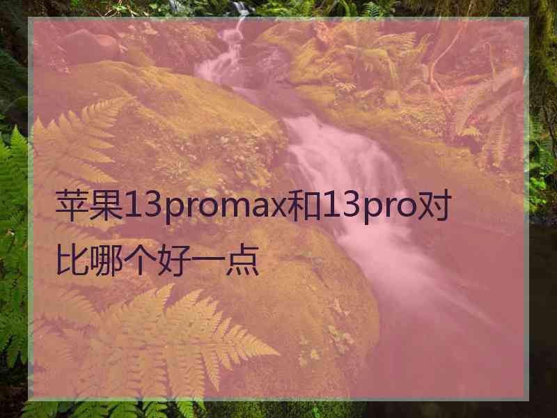 苹果13promax和13pro对比哪个好一点