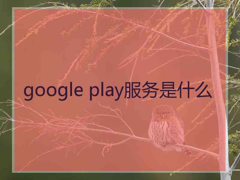 google play服务是什么