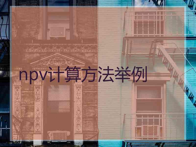 npv计算方法举例