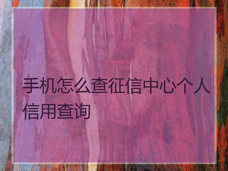 手机怎么查征信中心个人信用查询