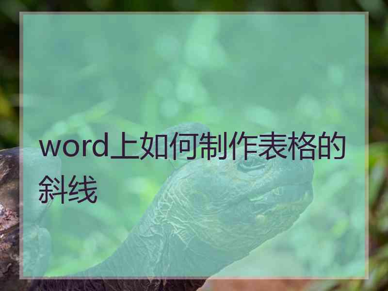 word上如何制作表格的斜线