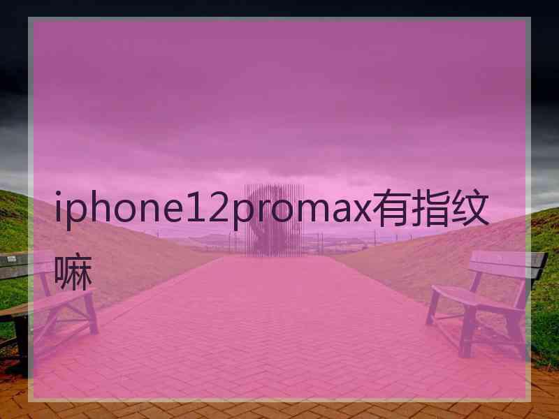 iphone12promax有指纹嘛