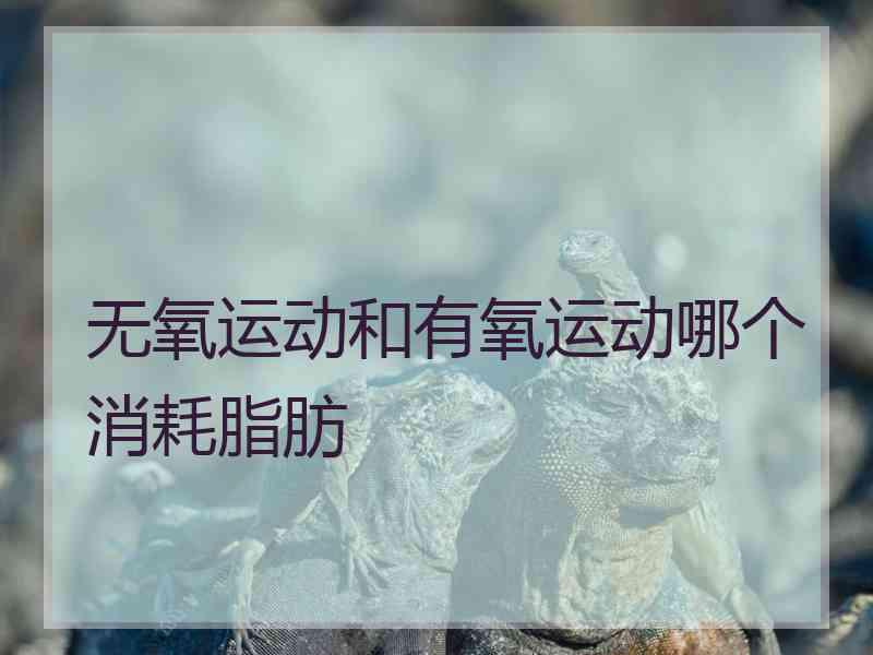 无氧运动和有氧运动哪个消耗脂肪