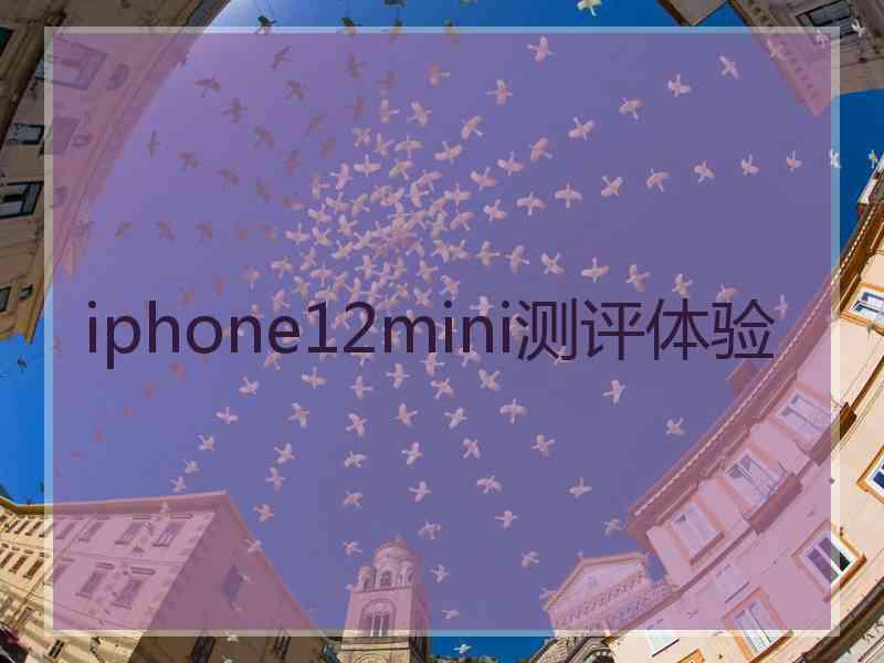 iphone12mini测评体验