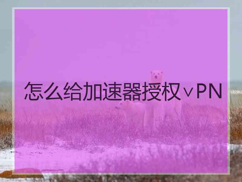 怎么给加速器授权∨PN