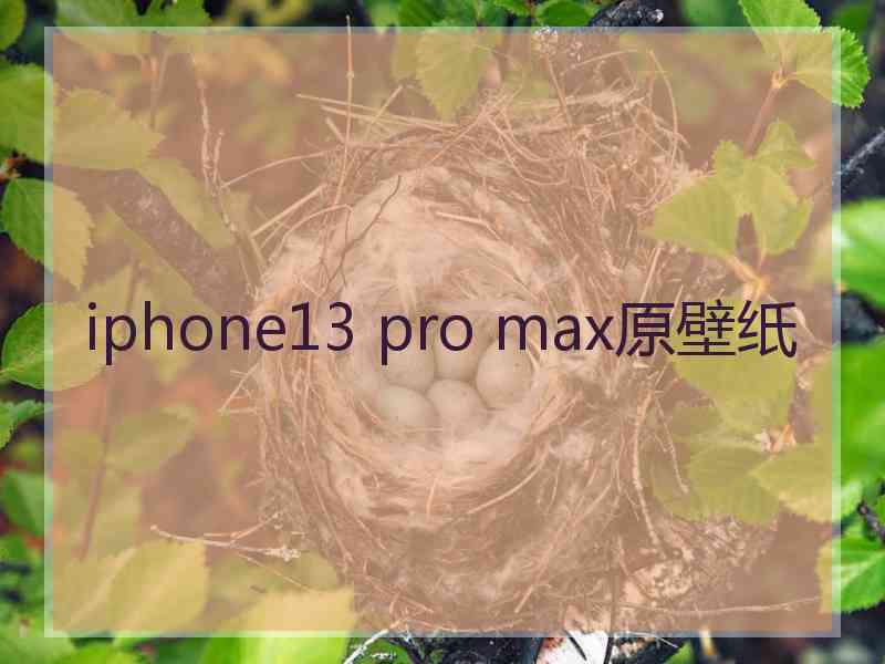 iphone13 pro max原壁纸