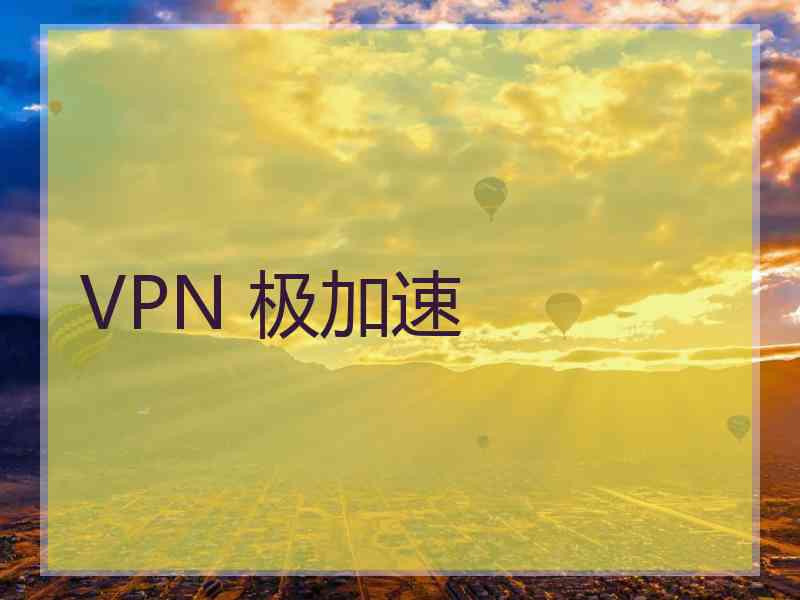 VPN 极加速