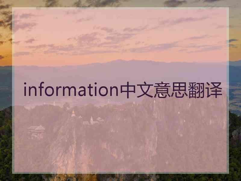 information中文意思翻译