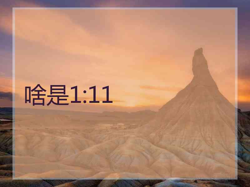 啥是1:11