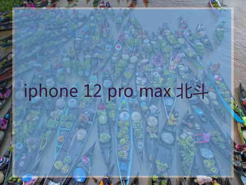 iphone 12 pro max 北斗