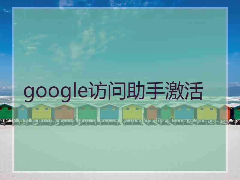 google访问助手激活