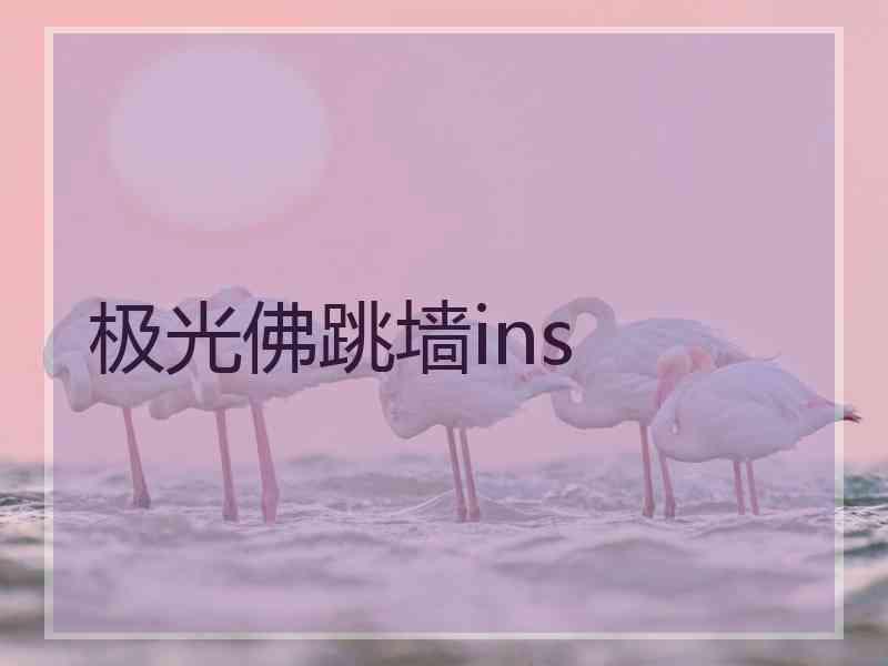 极光佛跳墙ins