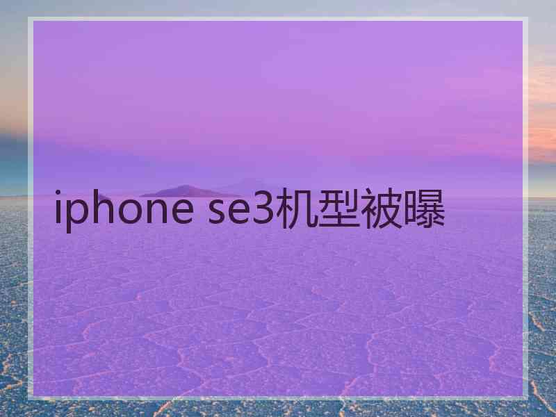 iphone se3机型被曝