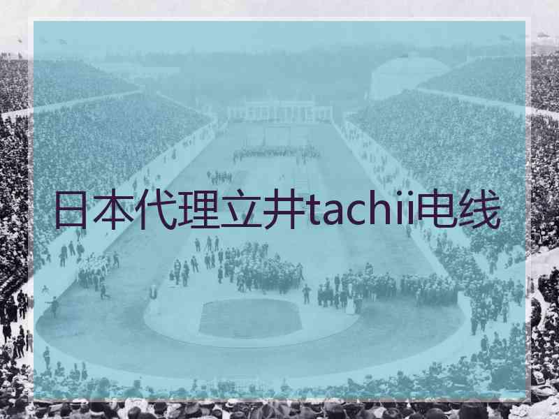 日本代理立井tachii电线