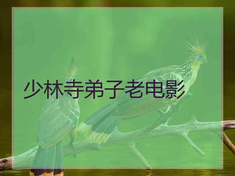 少林寺弟子老电影