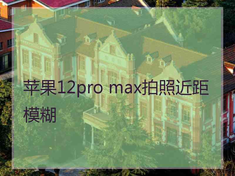 苹果12pro max拍照近距模糊