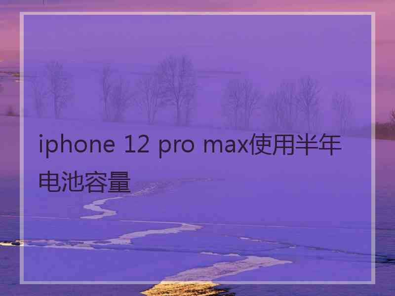 iphone 12 pro max使用半年电池容量