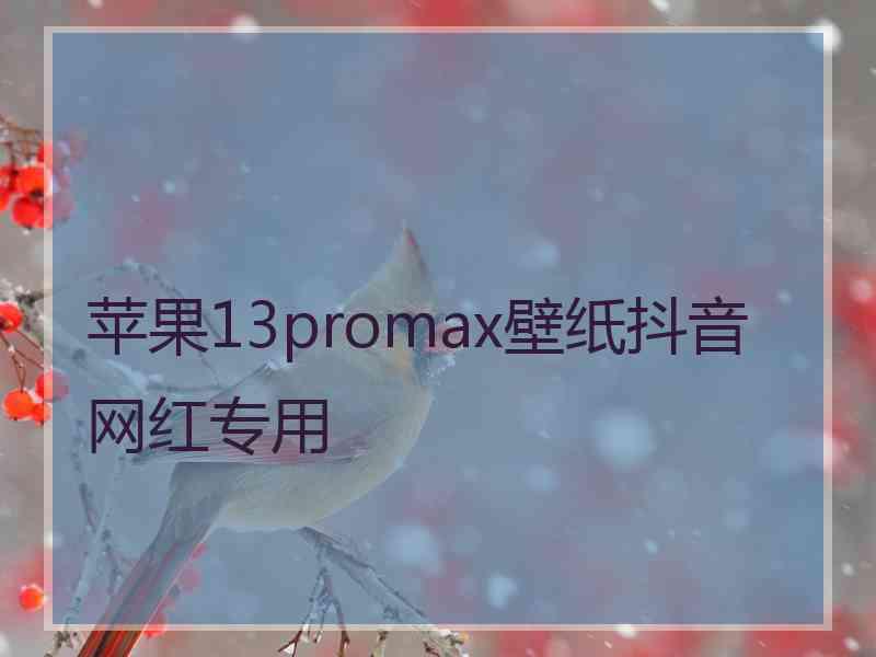 苹果13promax壁纸抖音网红专用