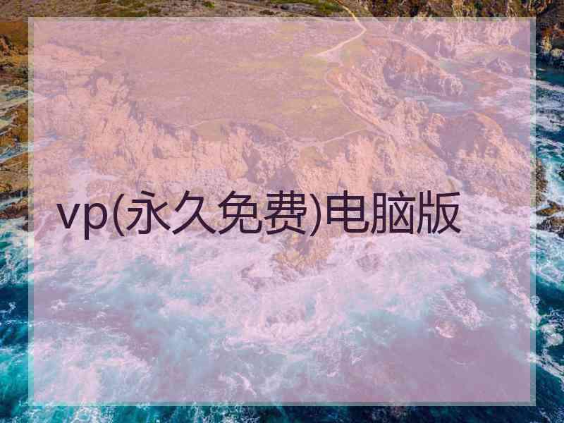 vp(永久免费)电脑版