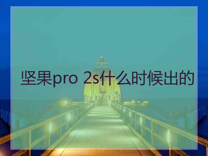 坚果pro 2s什么时候出的