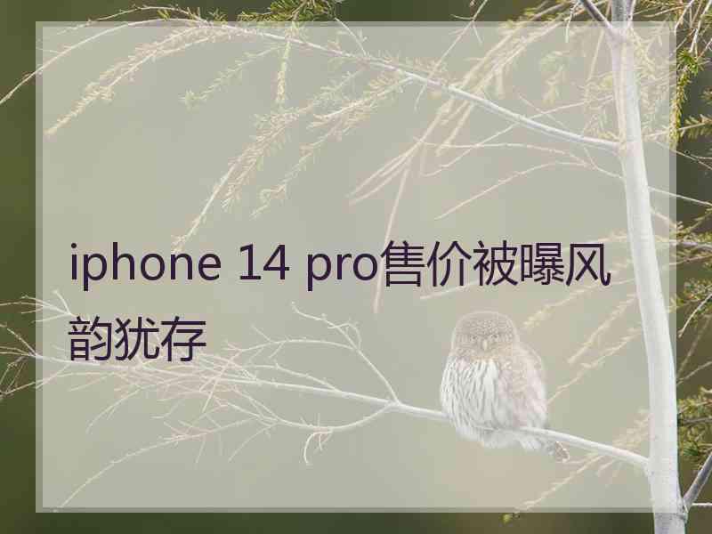 iphone 14 pro售价被曝风韵犹存