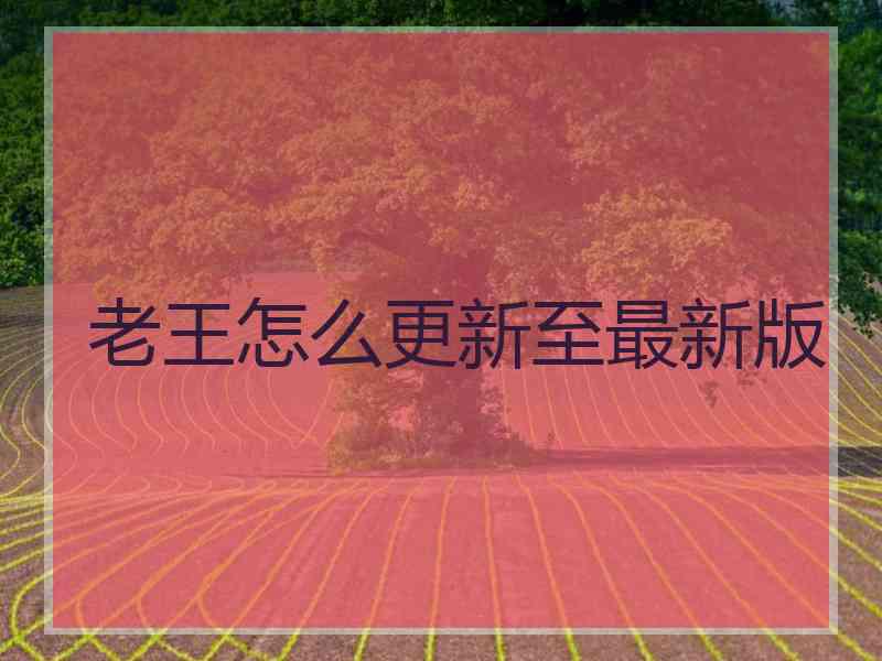 老王怎么更新至最新版