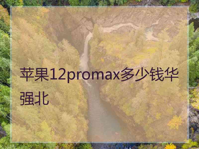 苹果12promax多少钱华强北