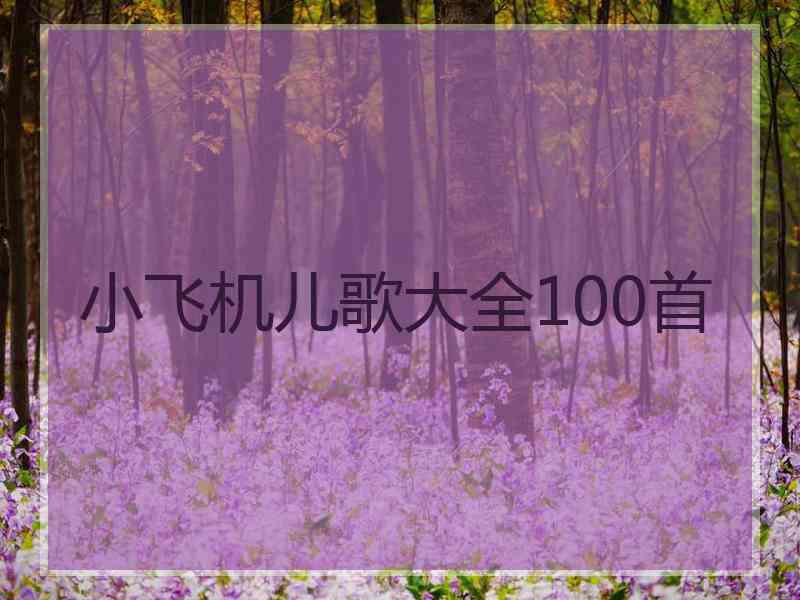 小飞机儿歌大全100首