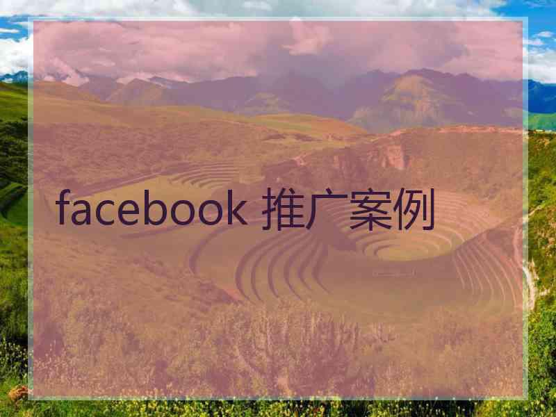 facebook 推广案例