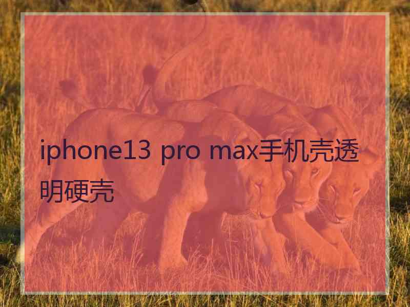 iphone13 pro max手机壳透明硬壳