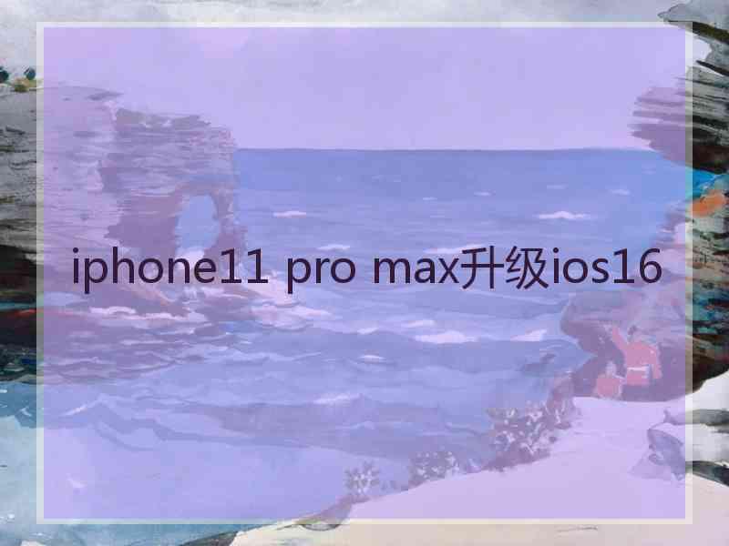 iphone11 pro max升级ios16