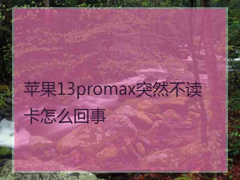 苹果13promax突然不读卡怎么回事