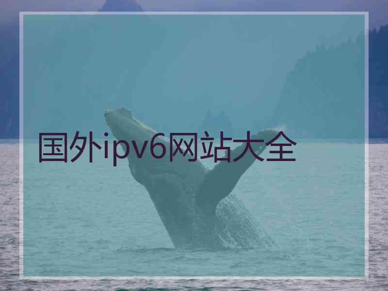 国外ipv6网站大全