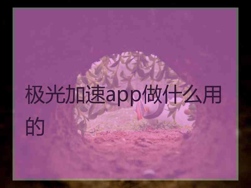 极光加速app做什么用的