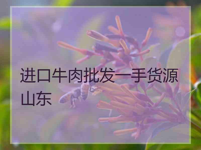 进口牛肉批发一手货源 山东