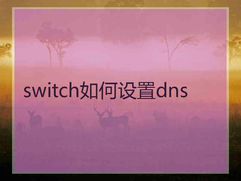 switch如何设置dns