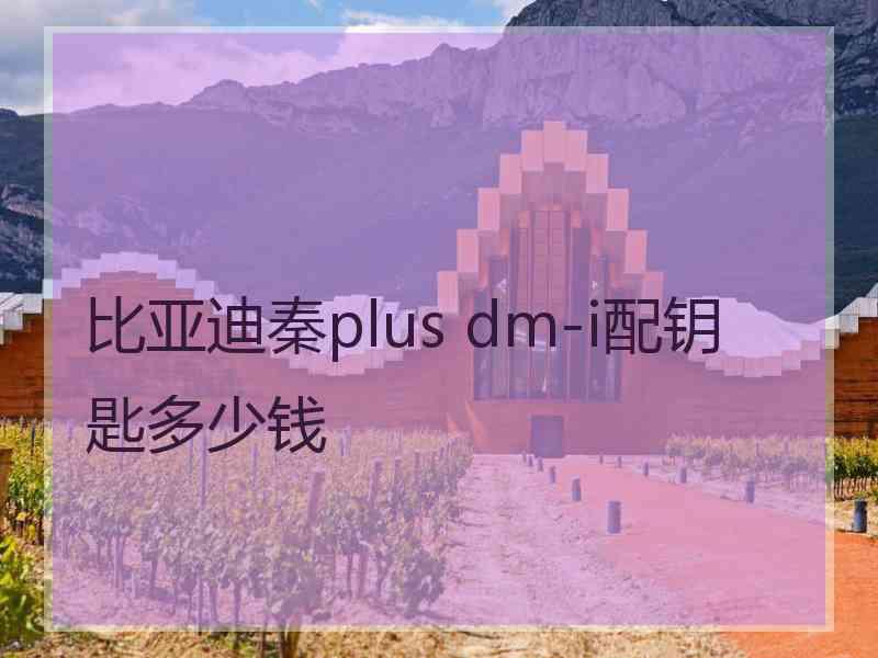 比亚迪秦plus dm-i配钥匙多少钱