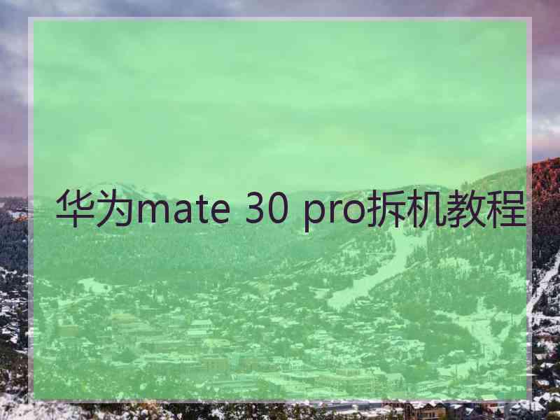 华为mate 30 pro拆机教程