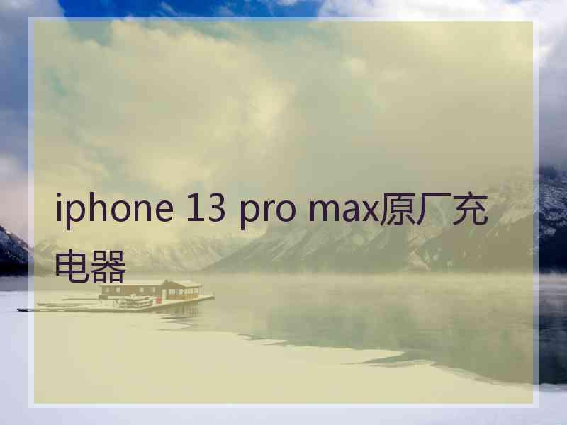 iphone 13 pro max原厂充电器