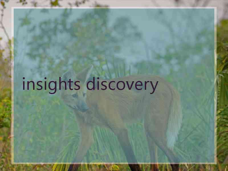 insights discovery