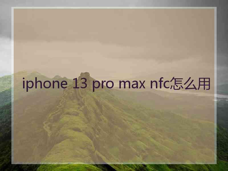 iphone 13 pro max nfc怎么用