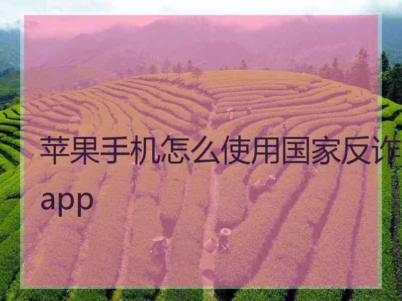 苹果手机怎么使用国家反诈app