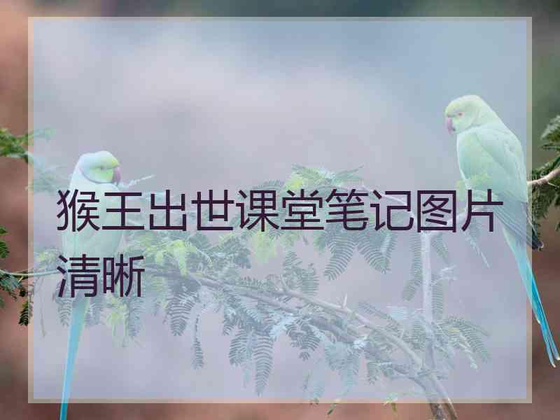 猴王出世课堂笔记图片清晰