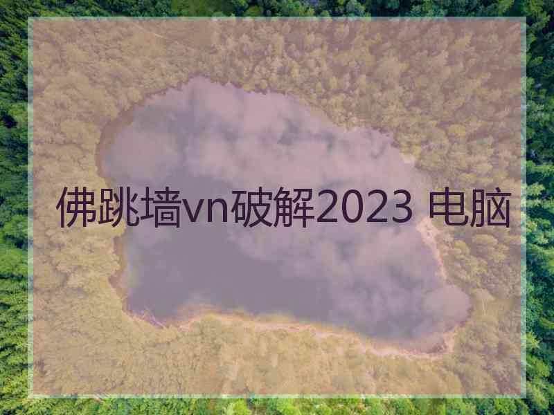 佛跳墙vn破解2023 电脑