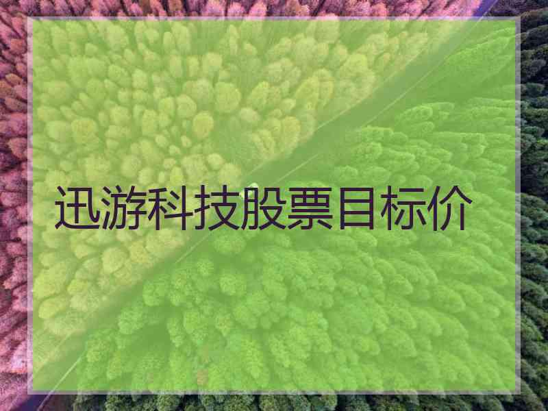 迅游科技股票目标价