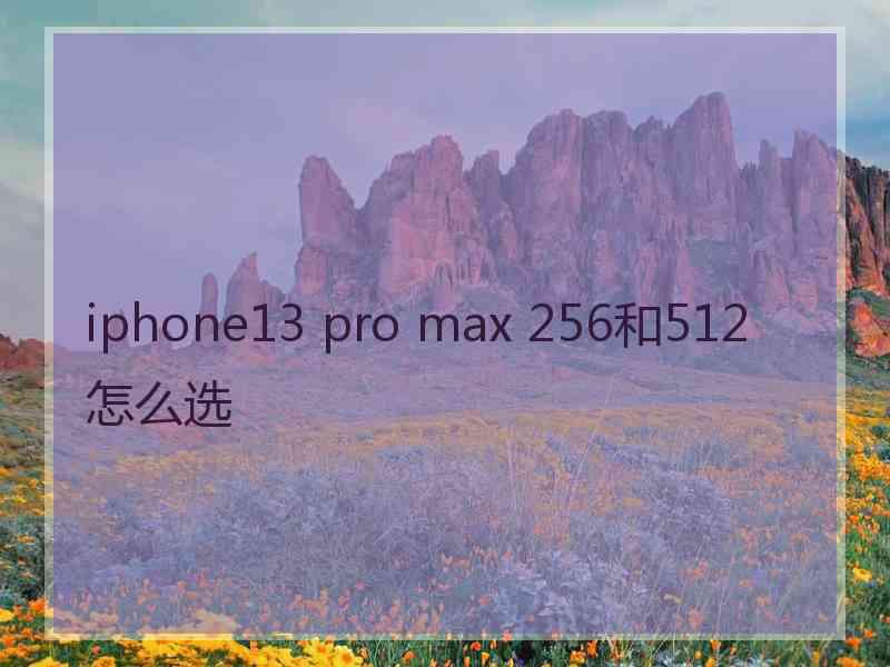 iphone13 pro max 256和512怎么选